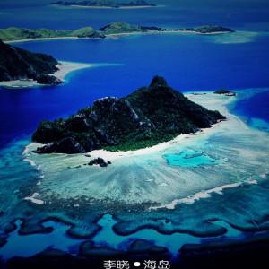 沙皮狗逃离